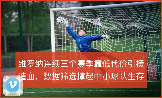 维罗纳连续三个赛季靠低代价引援造血，数据筛选撑起中小球队生存线